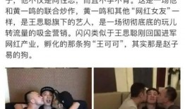 爆料骗人视频,揭秘那些令人信以为真的爆料骗人视频