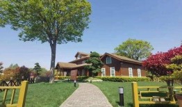 南京彩票爆料最新消息查询,揭秘中奖秘诀与热门玩法揭晓