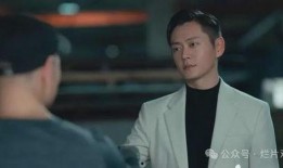 电视剧反黑在线观看,卧底风云，正义之战