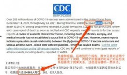 前辉瑞副总裁爆料视频