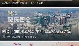 四会新闻爆料网站最新,揭秘最新民生热点事件！