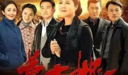 黄大妮全集在线观看,一部描绘女性成长与奋斗的励志史诗