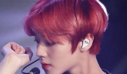 韩娱爆料朴志训视频下载,独家揭秘韩娱明星幕后瞬间