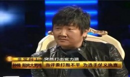 欧阳靖香港节目爆料视频,揭秘娱乐圈不为人知的真相