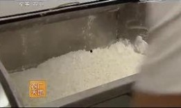 兰州牛肉爆料视频播放