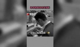 今日娱乐新爆料视频大全,视频大全揭秘明星幕后故事