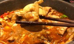 南昌爆料牛蛙事件视频,真相与争议交织