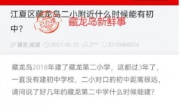 武汉中小学爆料案件最新,揭开校园安全隐秘面纱