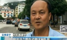 富宁县新闻爆料,突发事件引发关注，详情即将揭晓