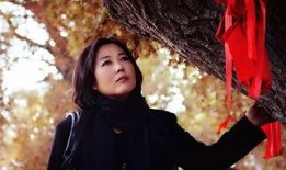 九九电视剧全集在线观看,揭秘民国风云，共赴传奇之旅