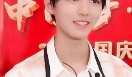 全网王俊凯爆料新闻,王俊凯最新爆料，揭秘明星幕后故事