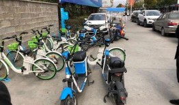 龙港爆料新闻网官网,聚焦龙港动态，传递最新资讯