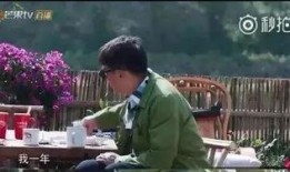 圈内爆料佟丽娅黄磊,幕后故事揭秘