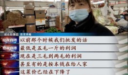 武汉菜价爆料视频播放,视频揭秘市场动态