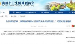 爆料曝光新闻,爆料曝光新闻背后的真相与内幕