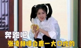 白鹿爆料外号大全搞笑视频,外号大全搞笑视频，笑料横飞，欢乐无限