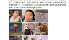千万网红被闺蜜爆料视频,揭秘背后惊人真相