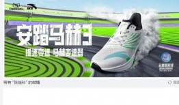 安踏 擦边球 爆料视频,揭秘品牌营销的争议瞬间