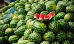 泰国西瓜最新爆料消息,揭秘神秘事件背后的惊人真相