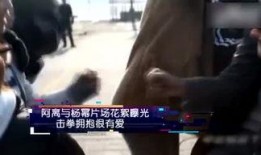 豪哥热门爆料视频,热门爆料视频背后的惊人真相