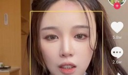 小猫直播爆料视频大全集,揭秘热门视频背后的精彩故事