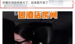 谢楠吴京家暴爆料视频,真相与争议