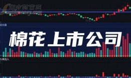 鸣潮爆料最新消息新闻报道,最新新闻报道深度解析