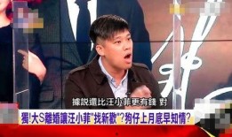 汪小菲最近爆料视频大全,揭秘背后真相