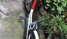 进口自行车爆料视频,视频爆料揭示品质与价格之谜