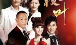 电视剧金枝玉叶在线观看,宫廷权谋与爱恨情仇的华丽演绎