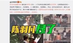 吃瓜爆料 陶鑫鑫视频,揭秘娱乐圈不为人知的幕后故事