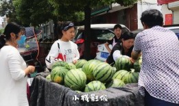 嘉禾望岗娱乐吃瓜,吃瓜群众揭秘幕后故事