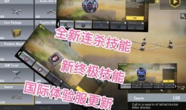 体验服视频最新爆料,揭秘游戏最新改动与亮点