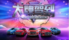 大牌驾到在线观看,揭秘明星幕后故事，在线观看精彩瞬间