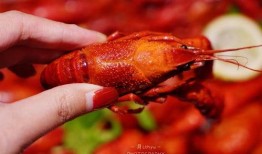 厦门龙虾爆料事件视频,视频揭露惊人内幕，海鲜市场乱象引关注