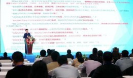 板鸭新装甲爆料视频大全,揭秘视频大全中的亮点与细节