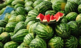 娱乐吃瓜酱国内最佳时间,揭秘国内最佳时间，解锁精彩瞬间！