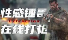 锤哥爆料视频在线观看,揭秘幕后真相，带你领略精彩瞬间