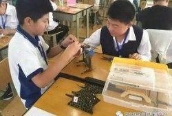 雄县教育爆料事件视频,揭开校园乱象背后的真相