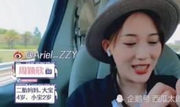 博主妈妈爆料陆文臣视频,陆文臣视频背后的故事