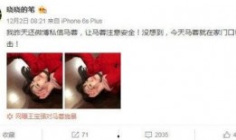 马蓉爆料娱乐圈,一场权力与欲望的博弈