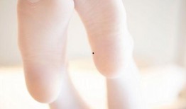 身度在线观看,探索身体与心灵的完美融合之旅