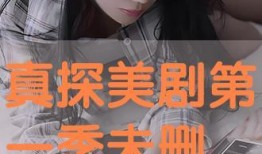 真探在线观看免费观看,揭秘罪案背后的真相，解锁悬疑世界！