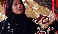 九九电视剧全集在线观看,揭秘民国风云，共赴传奇之旅