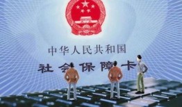 乌海新闻爆料最新消息视频,最新视频揭露惊人内幕！