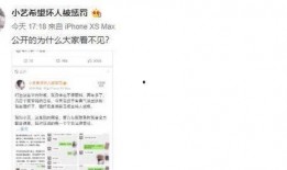信宜小艺爆料事件视频,揭秘背后真相与争议